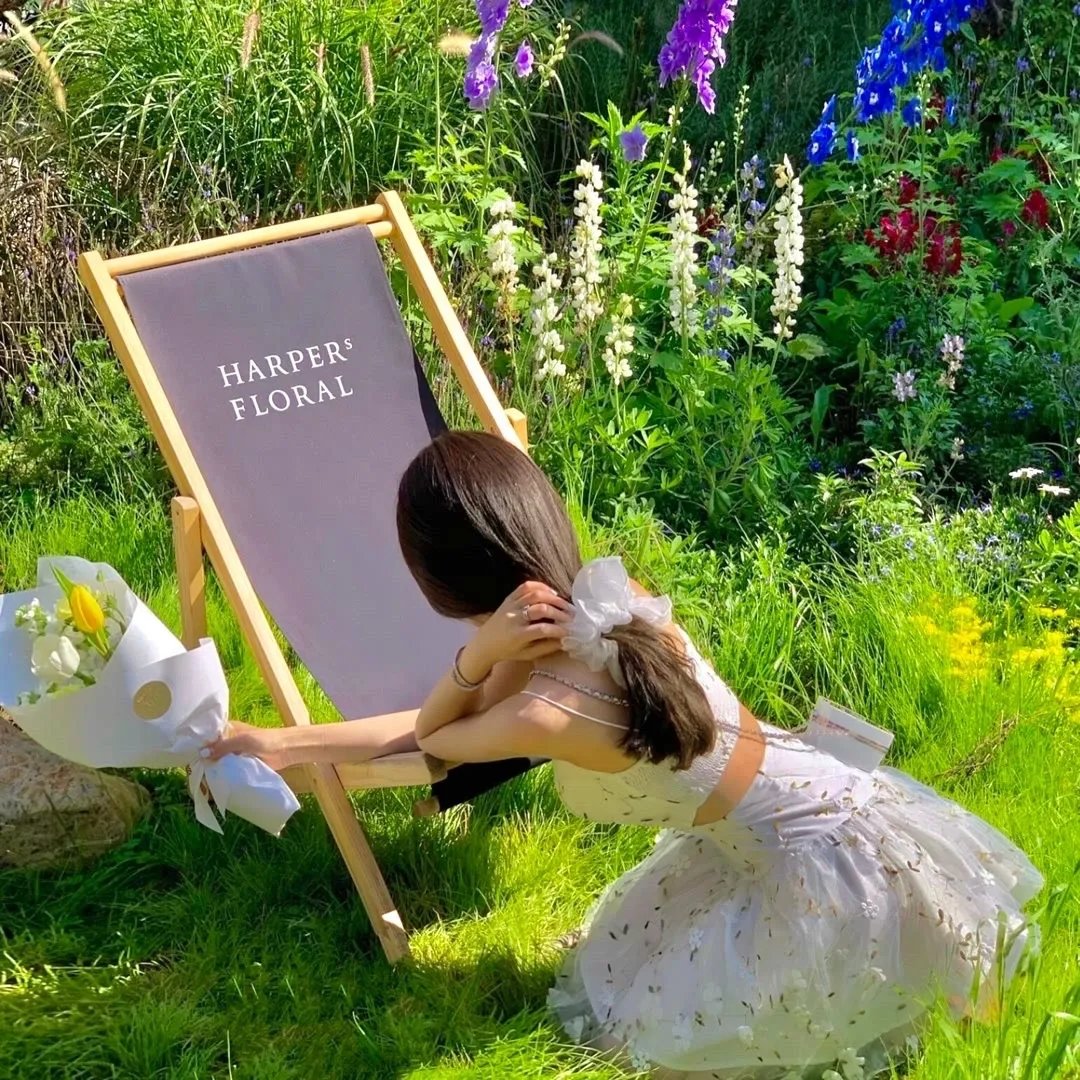 冰属性男子与酷酷女同事